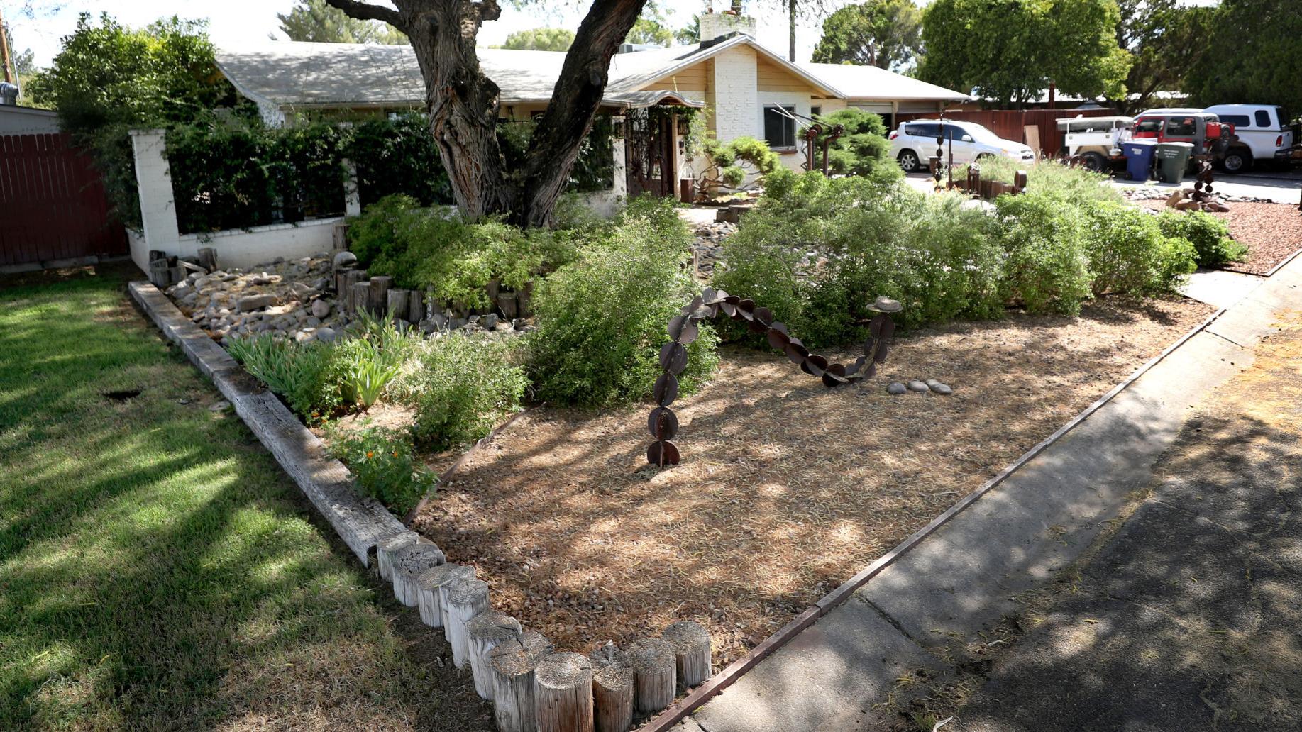 Tim Steller's opinion: In one Tucson neighborhood, watering grass is still the rule